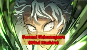 Demon Slayer Infinity Castle Trilogy